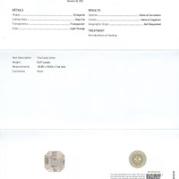 Jewelry Scan Report