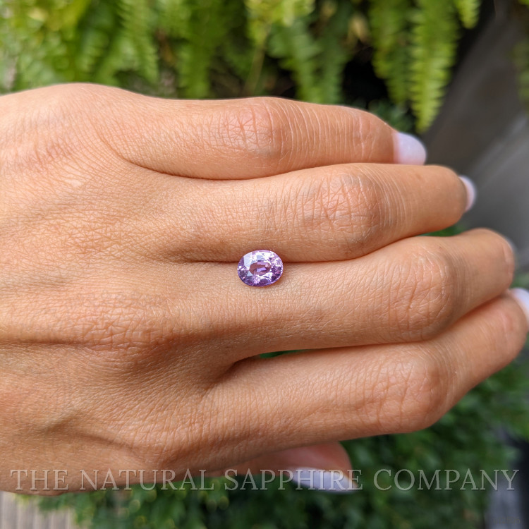 1.46 Ct. Purple Sapphire from Ceylon (Sri Lanka)
