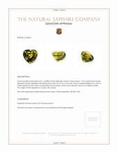 4.22 Ct. Greenish Brown Sapphire from Ceylon (Sri Lanka) Appraisal