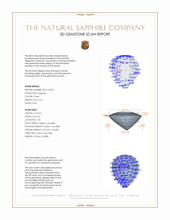 Jewelry 3 D Scan Report