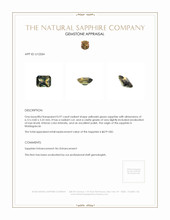 Jewelry Appraisal