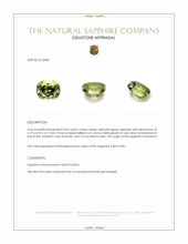 Jewelry Appraisal