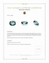 Jewelry Appraisal