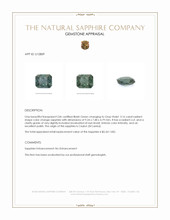 3.16 Ct. Color Change Sapphire from Ceylon (Sri Lanka) Appraisal