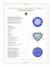 Jewelry 3 D Scan Report
