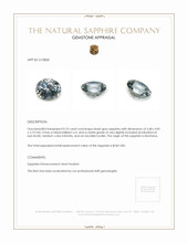 Jewelry Appraisal