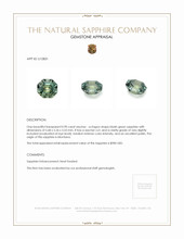 Jewelry Appraisal