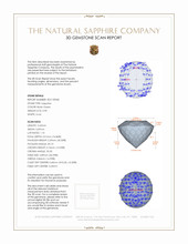 Jewelry 3 D Scan Report