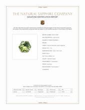 Jewelry Scan Report