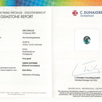 Jewelry Scan Report