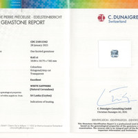 Jewelry Scan Report