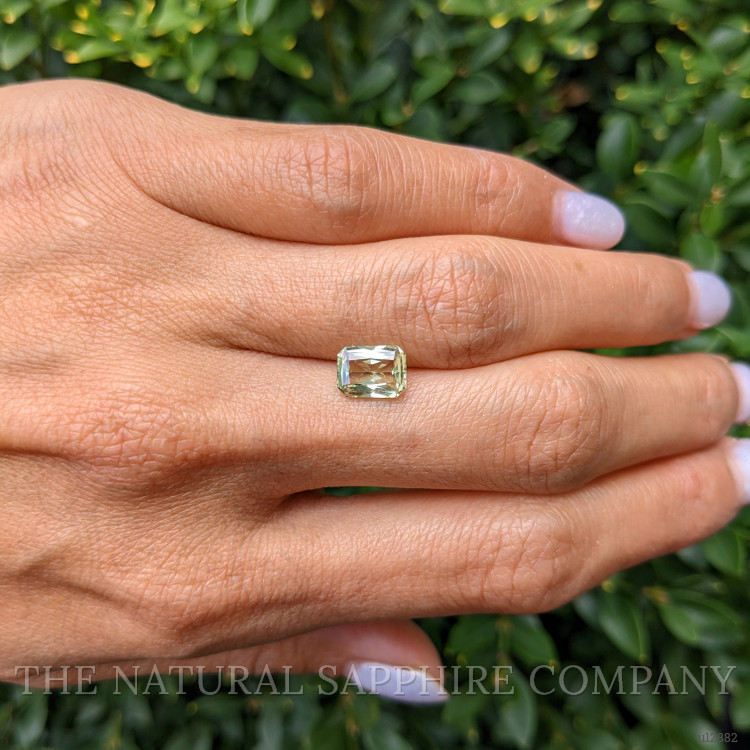 1.66 Ct. Yellowish Green Sapphire from Ceylon (Sri Lanka)