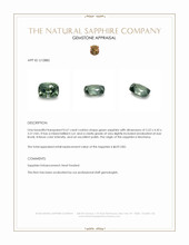 Jewelry Appraisal