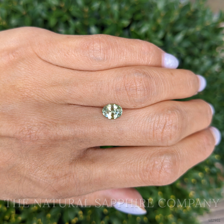 1.28 Ct. Yellowish Green Sapphire from Montana