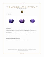 Jewelry Appraisal
