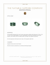 Jewelry Appraisal