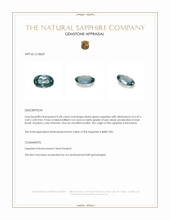 Jewelry Appraisal