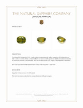 0.61 Ct. Greenish Yellow Sapphire from Montana Appraisal