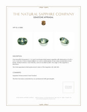 Jewelry Appraisal
