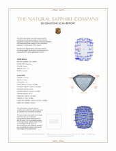 Jewelry 3 D Scan Report