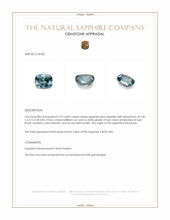 Jewelry Appraisal