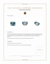 Jewelry Appraisal
