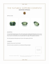 Jewelry Appraisal