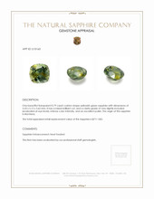 0.79 Ct. Yellowish Green Sapphire from Montana Appraisal