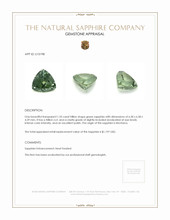 Jewelry Appraisal