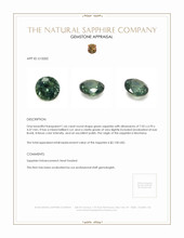 Jewelry Appraisal