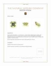 1.12 Ct. Sapphire from Ceylon (Sri Lanka) Appraisal