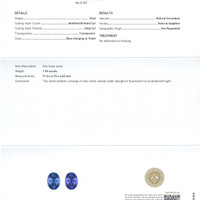 Jewelry Scan Report