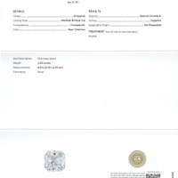 Jewelry Scan Report