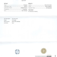 Jewelry Scan Report