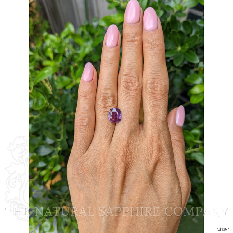 3.18 Ct. Purple Sapphire from Ceylon (Sri Lanka)