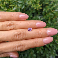 1.06 Ct. Purple Sapphire from Ceylon (Sri Lanka) Life Style