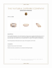 Jewelry Appraisal