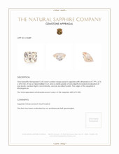 Jewelry Appraisal
