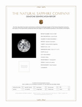 Jewelry Scan Report