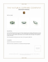 0.92 Ct. Yellowish Green Sapphire from Ceylon (Sri Lanka) Appraisal