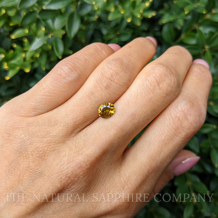 1.22 Ct. Yellowish Brown Sapphire from Montana