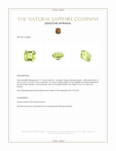 Jewelry Appraisal
