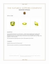 Jewelry Appraisal