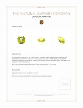 Jewelry Appraisal