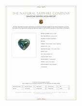 Jewelry Scan Report
