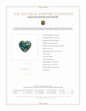 Jewelry Scan Report