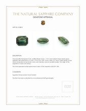 17.03 Ct. Bluish Green Sapphire from Ceylon (Sri Lanka) Appraisal