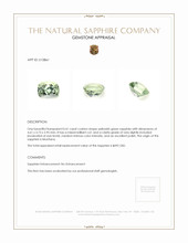 Jewelry Appraisal