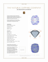 Jewelry 3 D Scan Report