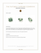 Jewelry Appraisal